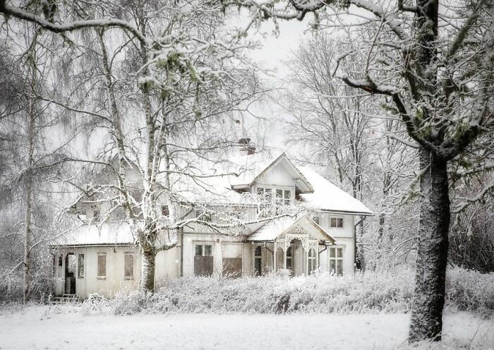 Abandoned house in snowy landscape, surrounded by bare trees.
