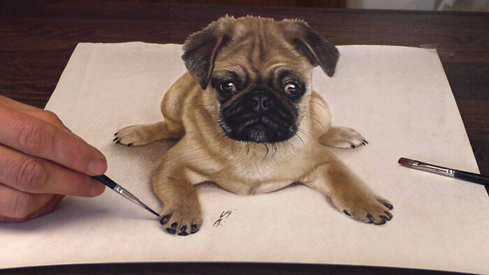 3D drawing of a pug by a professional German artist, showcasing realistic detail and depth with brushes.