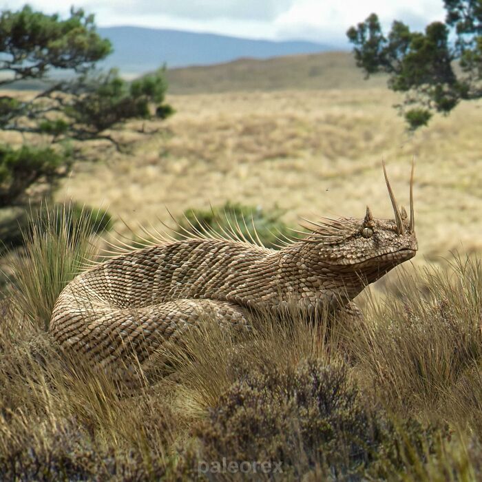 “Life Of Tomorrow”: Science-Based Evolution Of Animals Millions Of ...
