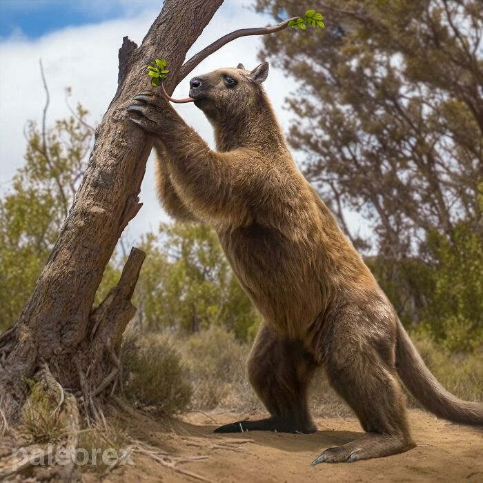 “Life Of Tomorrow”: Science-Based Evolution Of Animals Millions Of ...