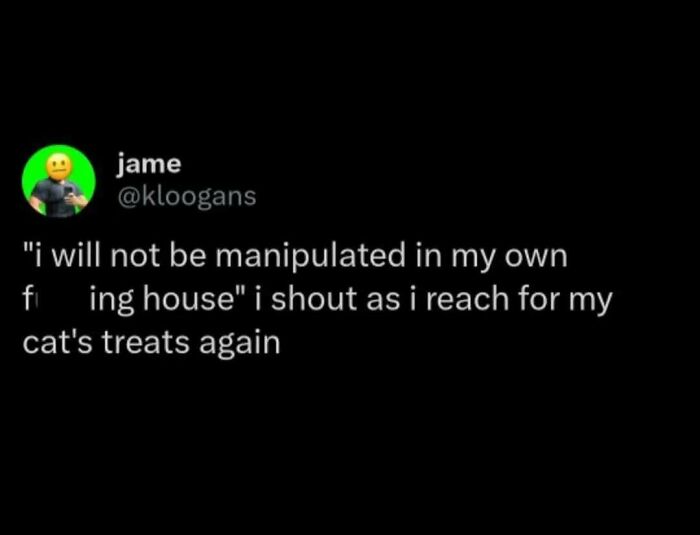 Cat's playful manipulation: humorous meme about giving in to feline demands for treats.