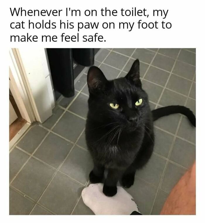 A black cat sits on the bathroom floor, paw resting on a person's foot, showcasing typical feline play mode.