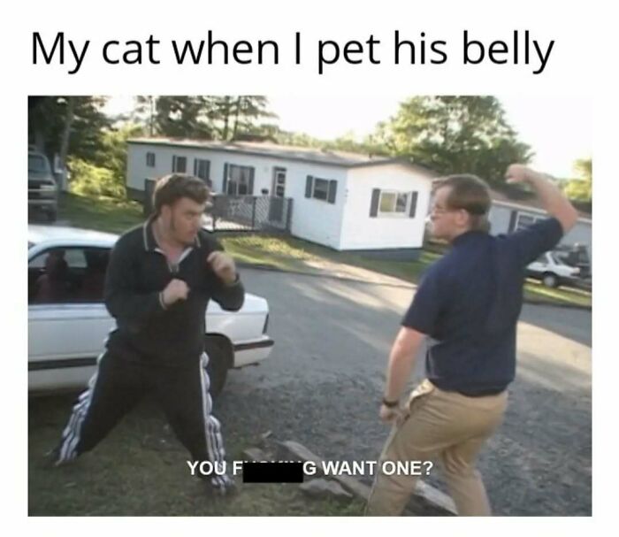 Two men mock fighting outdoors with text about cat in play mode, capturing feline attitude humorously.