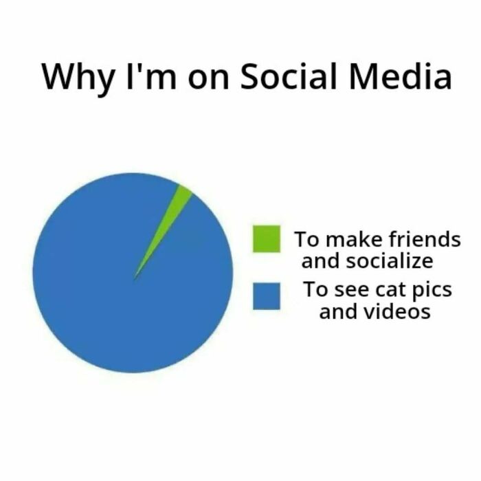 Pie chart with a tiny green section for socializing and large blue for seeing cat pics.