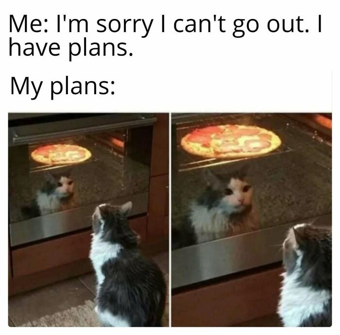 Cat in play mode, staring at pizza cooking in oven, with humorous meme text about having "plans."