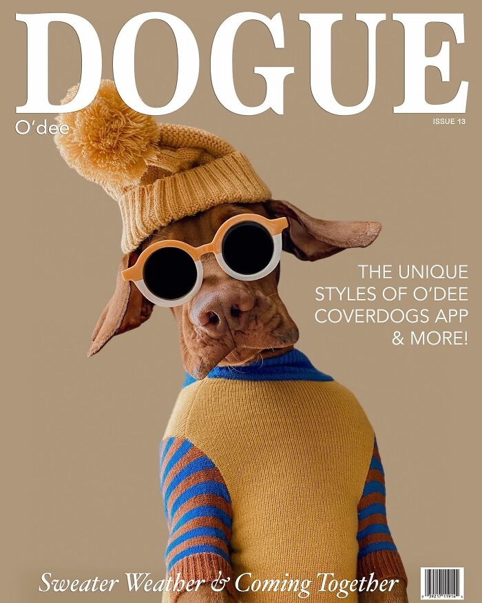 Dog in sunglasses and sweater on the cover of Dogue, the first fashion magazine for dogs.