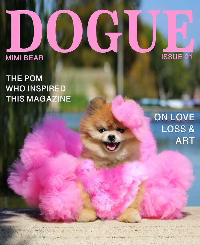 Cute dog in a fluffy pink outfit on the cover of Dogue fashion magazine.