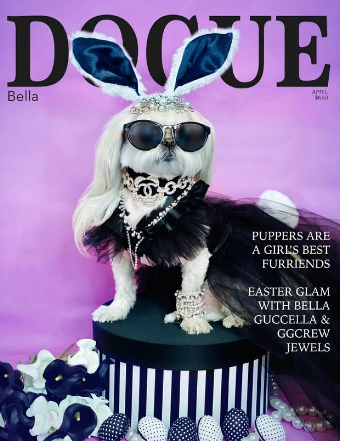 Dog fashion magazine cover featuring a stylish dog in sunglasses and a black outfit with bunny ears.