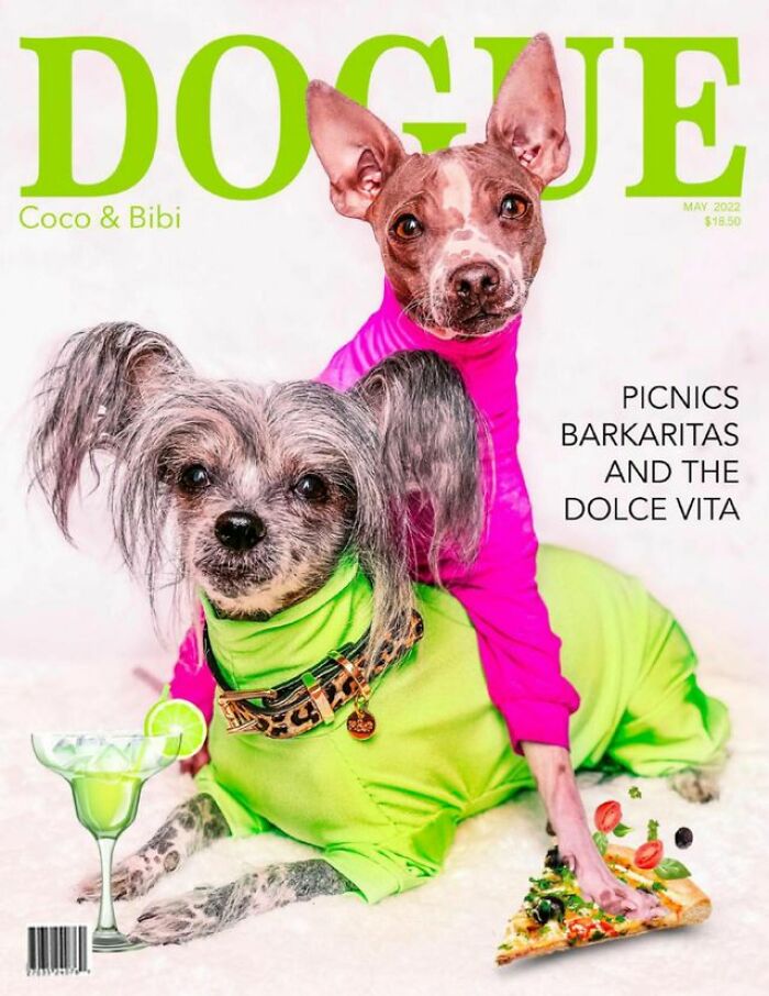 Dogs Coco and Bibi in colorful outfits on Dogue cover, highlighting fashion and lifestyle for dogs.