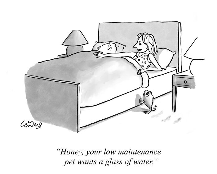 A woman in bed talks to a man off-screen as a fish stands on the floor, illustrating a funny comic concept.