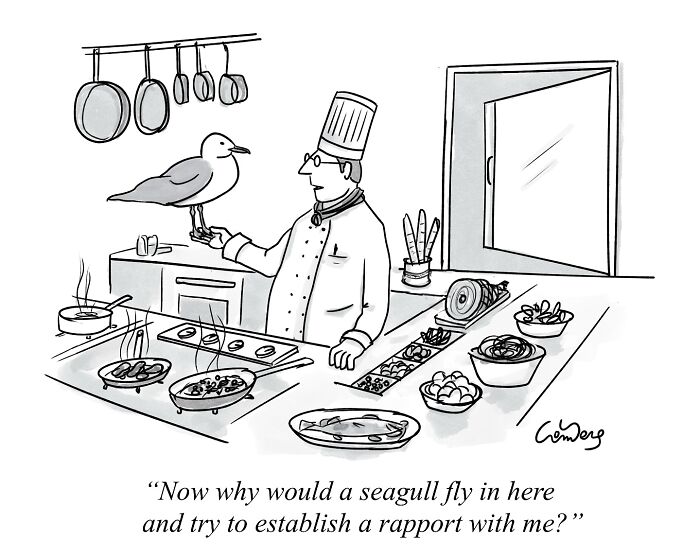 Chef holding a seagull in a kitchen, with a puzzled expression, exemplifying absurd and funny cartoon humor.