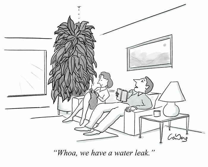Two people on a couch with a tall plant serving as a leaking ceiling, highlighting absurdly funny comics.