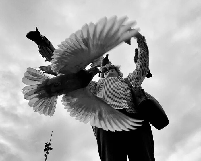 Photographer captures split-second with birds in flight around a person, in dramatic black and white.