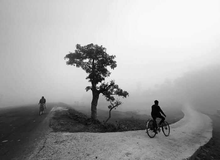 Black and white photo capturing cyclists on a foggy road, highlighting a split-second moment with a solitary tree.