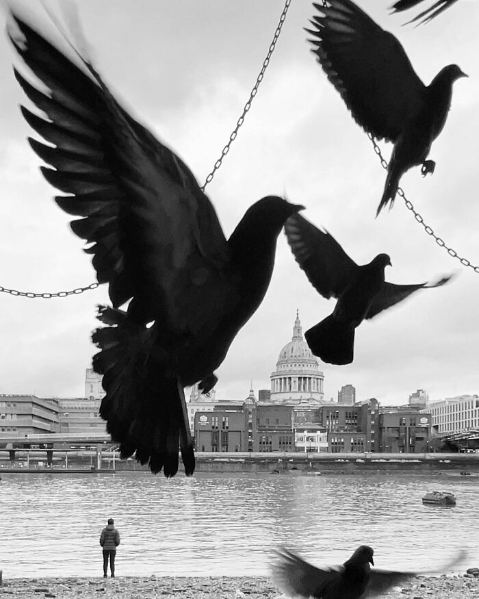 Black and white photo of flying birds near a river, with a cityscape and a solitary figure in the background, capturing moments.