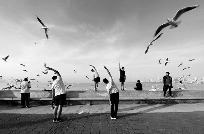 Black and white photo capturing split-second moments of people stretching and seagulls flying near a waterfront.