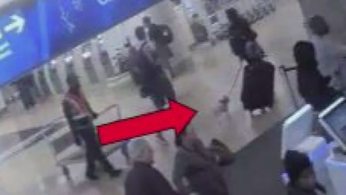 Woman at airport with dog, highlighted by red arrow. Woman at airport with dog, highlighted by red arrow.