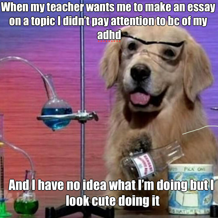 I Have No Idea What I’m Doing