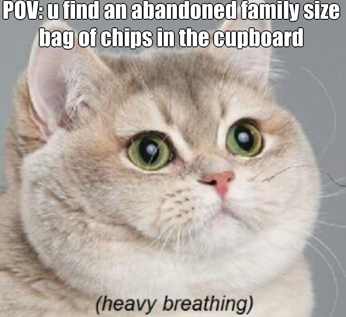 Must. Not. Eat. Oh Forget It! *chomp Chomp*