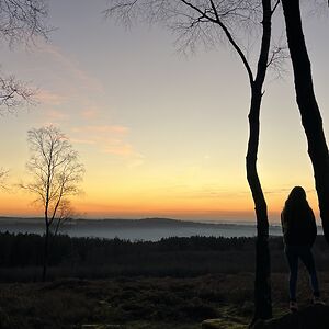 thisislaylaroseshaw avatar