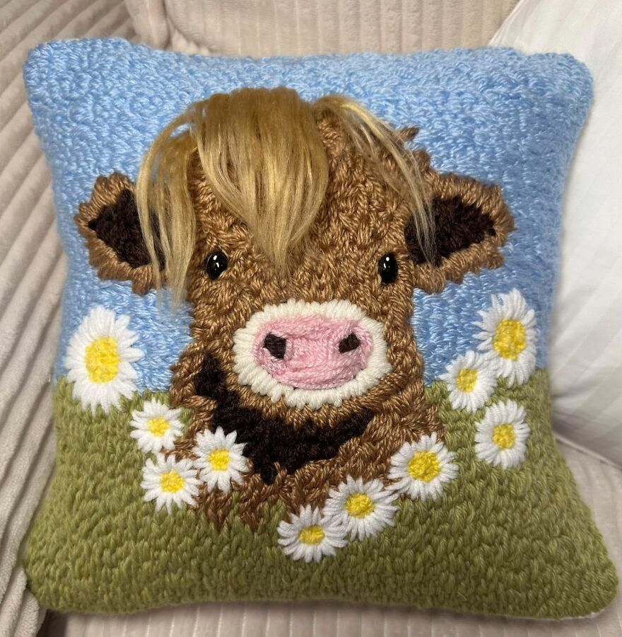I Made A Highland Cow By Punch Needle For My Sister