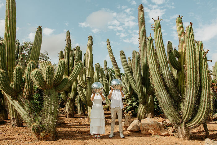 Couple holding reflective spheres among tall cacti, showcasing one of the best engagement photos of 2025.