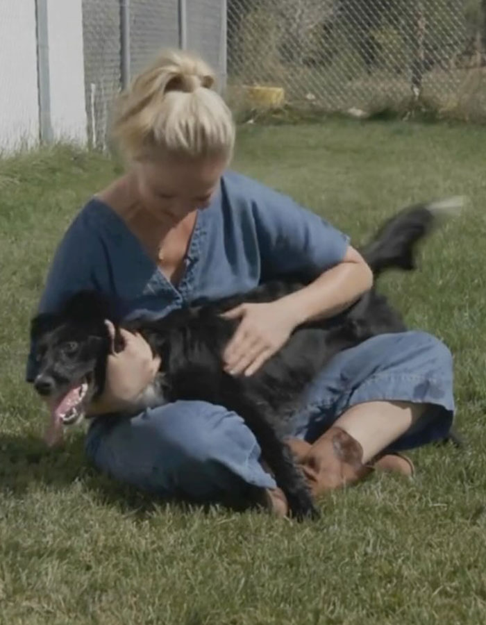 Woman sitting on grass playing with a black dog in a fenced area. Woman sitting on grass playing with a black dog in a fenced area.