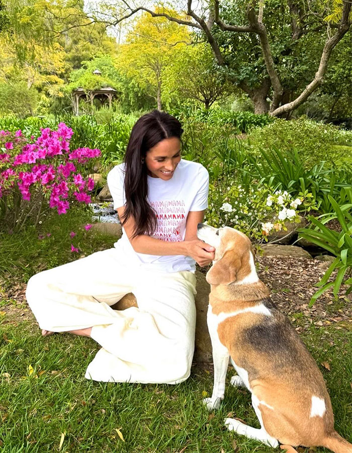 Woman sitting on grass in a garden with a dog, highlighting a serene moment amidst vibrant flowers. Woman sitting on grass in a garden with a dog, highlighting a serene moment amidst vibrant flowers.