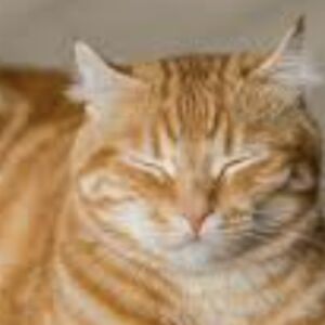 andurielstudios avatar