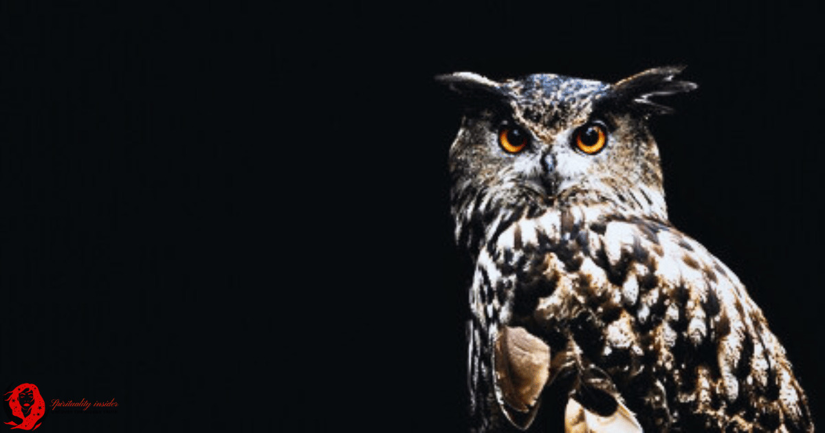 Seeing An Owl At Night Spiritual Meaning (Insights)