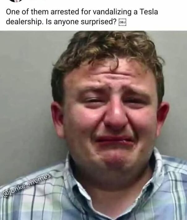 Tesla-vandal-67e192d0434d4.jpg