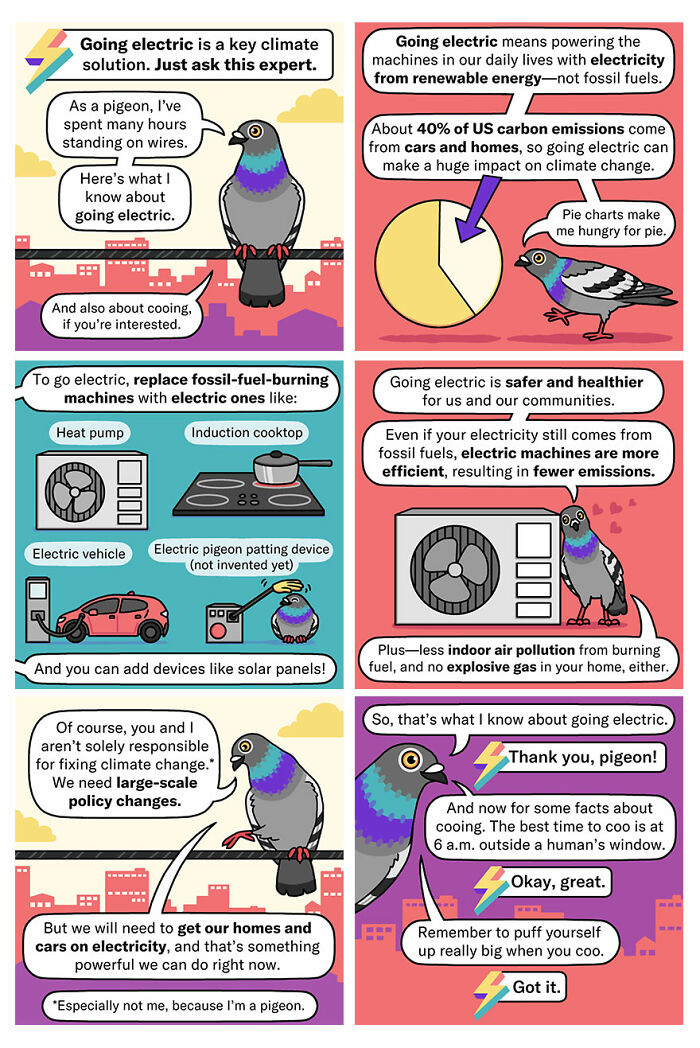 Comic featuring a pigeon discussing humorous moments in nature, focusing on electric energy benefits and climate change.