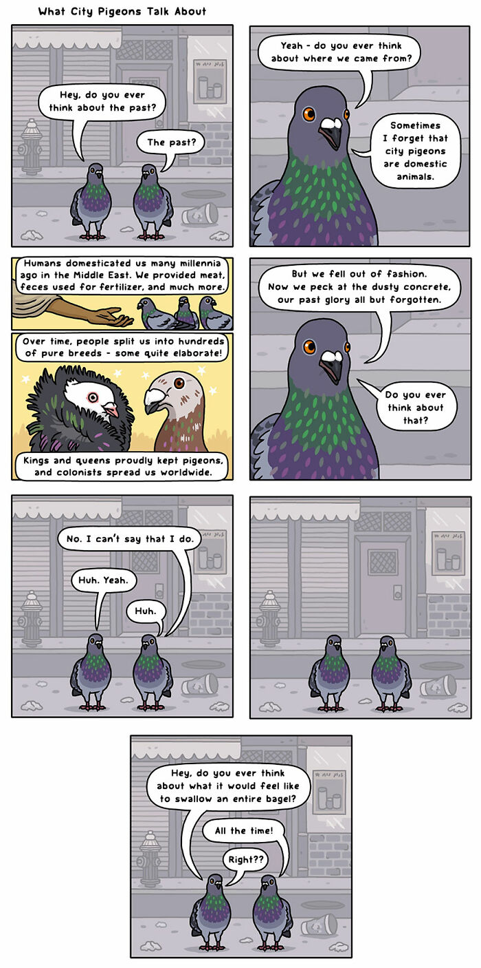 Humorous comic of pigeons discussing their past and the idea of swallowing a whole bagel, depicting funny moments in nature.