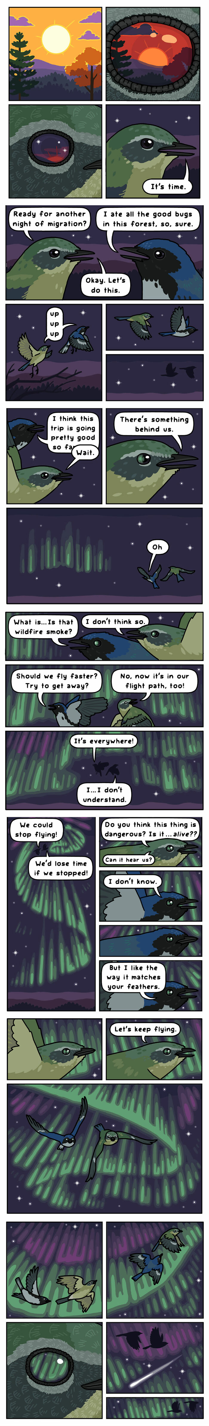 Comic depicting birds humorously encountering the aurora borealis during flight, featuring lighthearted dialogue and nature elements.