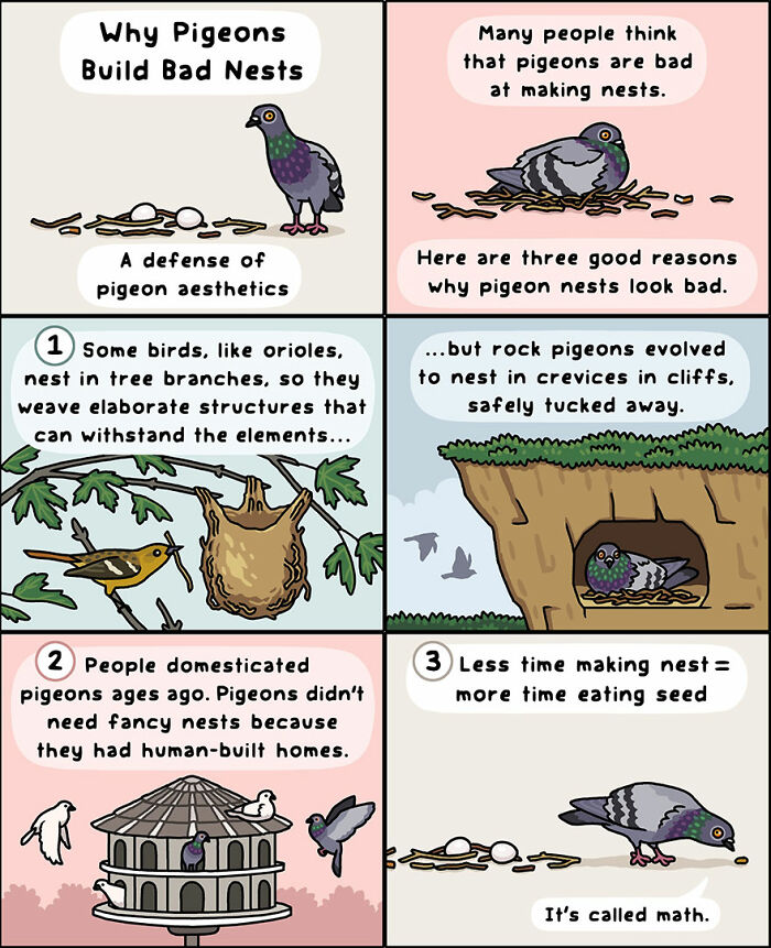Comic strip showing humorous moments in nature with pigeons explaining reasons for poorly built nests.