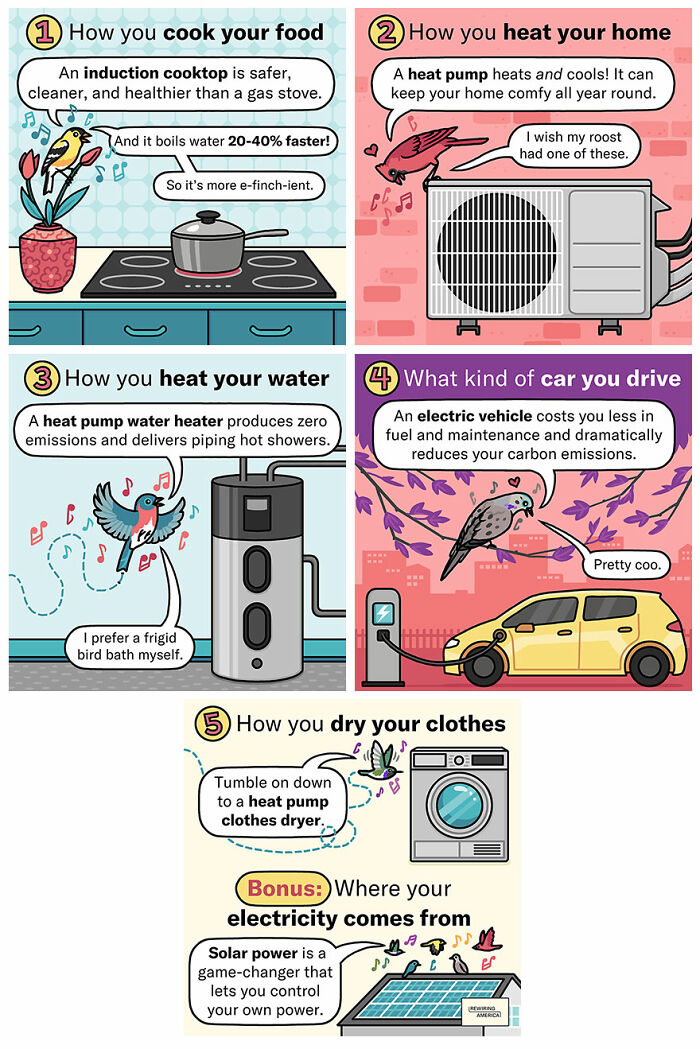 Comics illustrating humorous moments in nature with eco-friendly tips on cooking, heating, driving, and using solar energy.