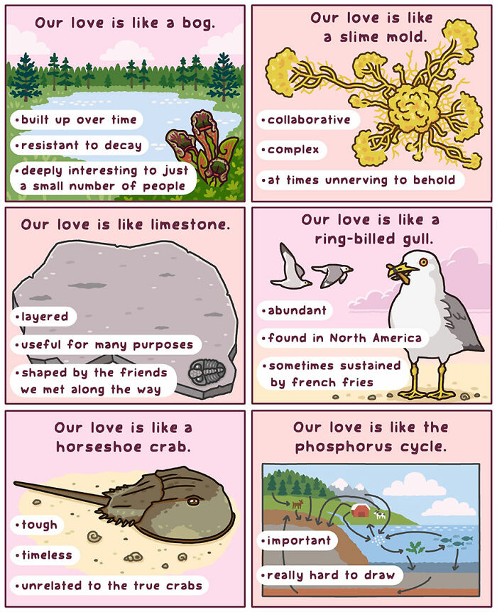 Comics depicting humorous moments in nature, comparing love to bogs, slime molds, limestone, gulls, horseshoe crabs, and cycles.