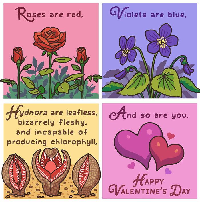 Comic art depicting humorous moments in nature with roses, violets, hydnora plants, and hearts.