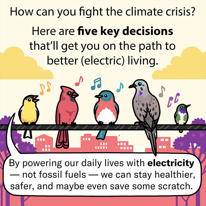 Comic illustration of birds discussing electric living and climate decisions. Humorous nature moment with colorful musical notes.