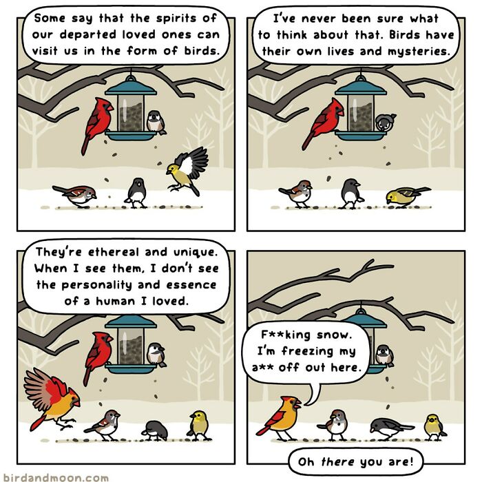 Comic strip with birds at a feeder, sharing humorous moments in nature.