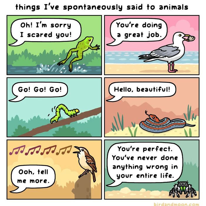 Comic depicting humorous conversations with animals, featuring a frog, seagull, caterpillar, snake, bird, and spider.