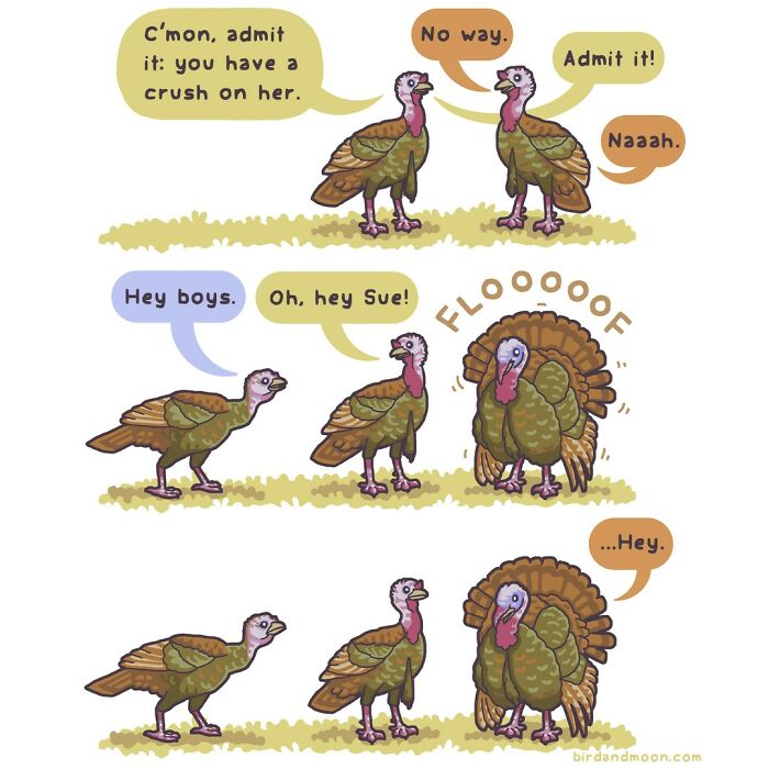 Comic of turkeys humorously interacting in nature, with speech bubbles depicting their conversation.