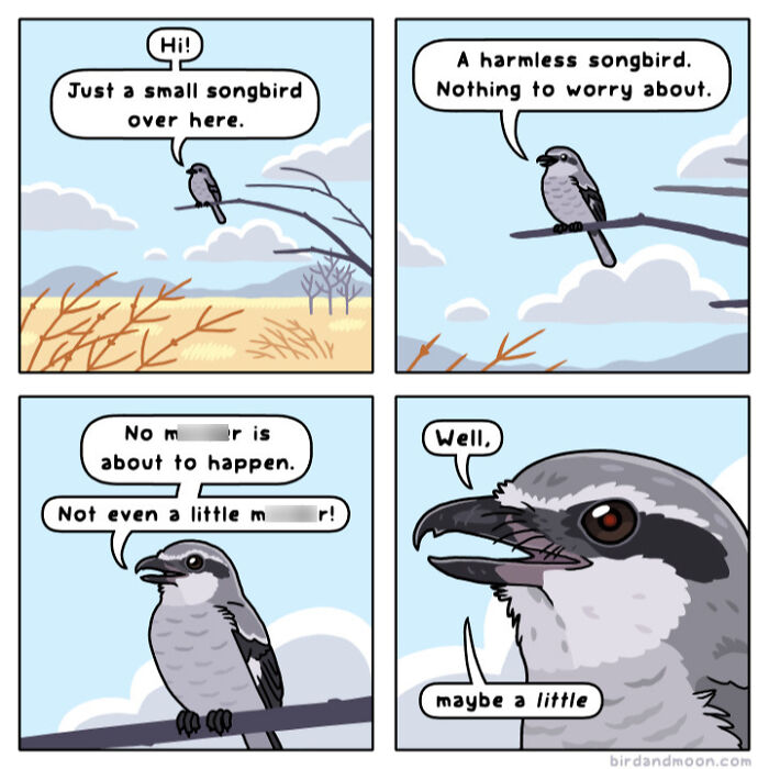 Comic depicting humorous moments in nature with a songbird on a branch.