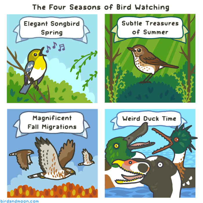 Comics depicting humorous moments in nature, showcasing birds through the four seasons in a playful illustration.