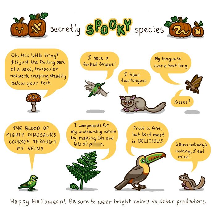 Comic depicting humorous moments in nature with various animals sharing funny, spooky thoughts.