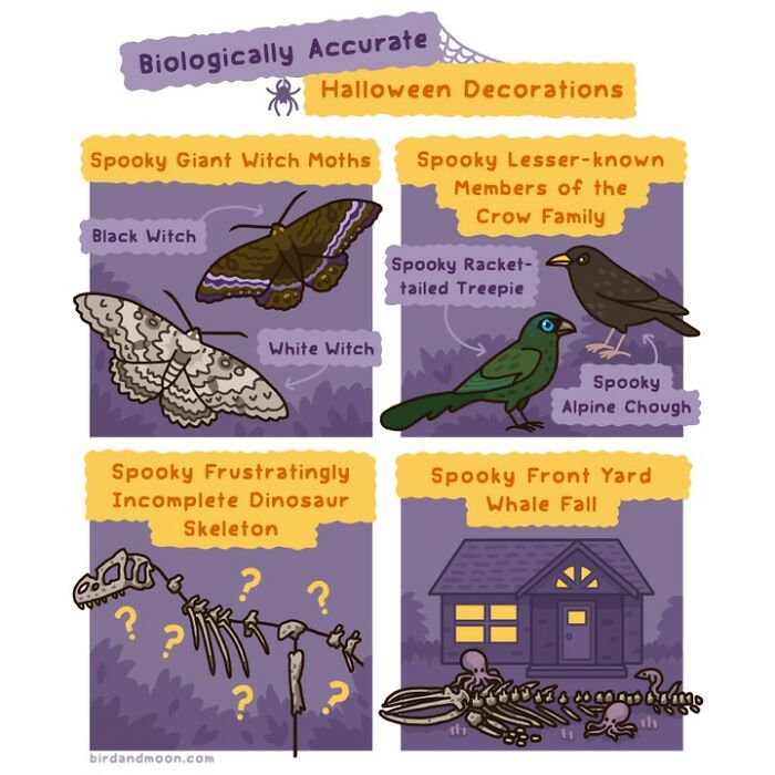 Comic depicting humorous nature moments with biological Halloween theme, featuring moths, birds, and skeletons.