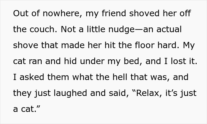 Text describing a person reacting to a friend mistreating their cat by shoving it off a couch, leading to tension. Text describing a person reacting to a friend mistreating their cat by shoving it off a couch, leading to tension.