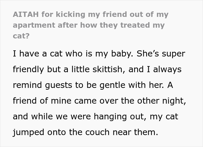 Text about someone accused of overreacting for kicking out a friend who mistreated their cat. Text about someone accused of overreacting for kicking out a friend who mistreated their cat.