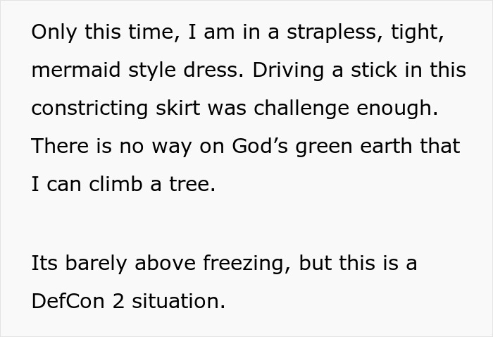 Text about a woman in a mermaid dress facing a DefCon 2 situation, highlighting challenges and urgency. Text about a woman in a mermaid dress facing a DefCon 2 situation, highlighting challenges and urgency.