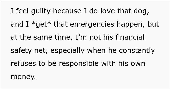Text discussing financial responsibility issues between partners and a dog's vet bill. Text discussing financial responsibility issues between partners and a dog's vet bill.